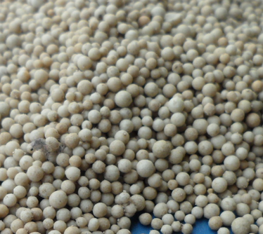 ϡ����ɰ<a href='http://www.suzhanjd.cn/jsll/' target='_blank'><u>�V�����a(ch��n)�S��</u></a>